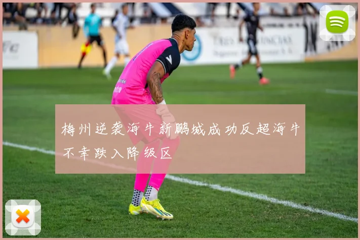 梅州逆袭海牛新鹏城成功反超海牛不幸跌入降级区
