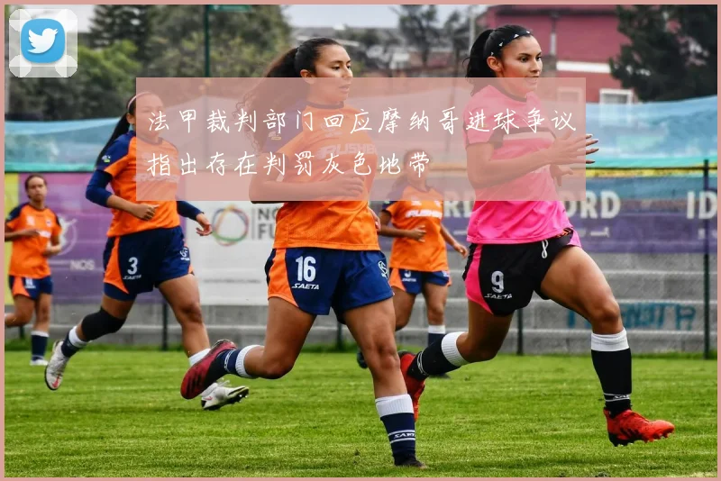 法甲裁判部门回应摩纳哥进球争议指出存在判罚灰色地带