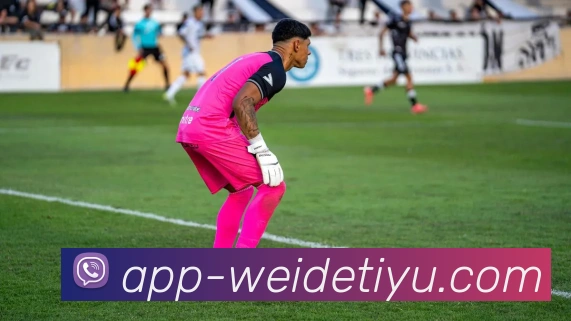 伟德体育发展历程